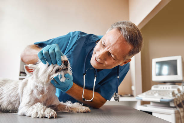 Best Emergency Tooth Extraction in Kenilworth, NJ